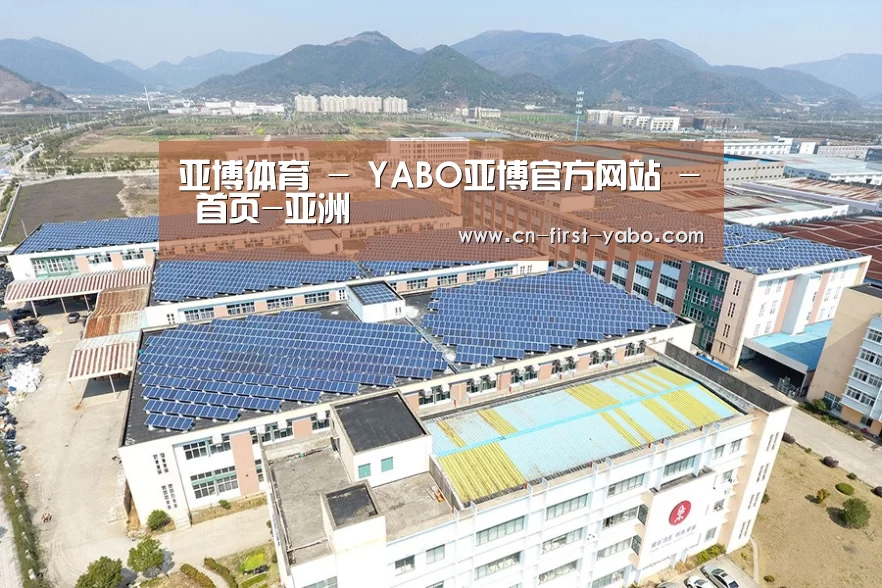 案例展示二