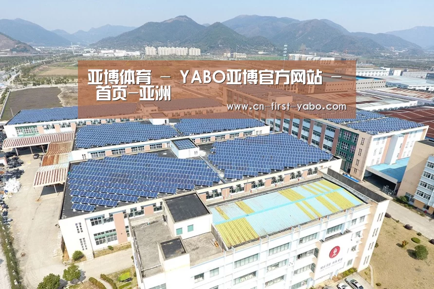 案例展示一