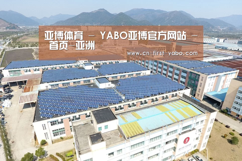 案例展示四