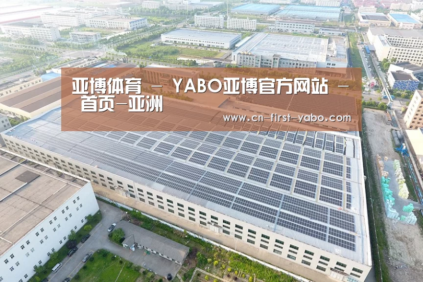 案例展示四