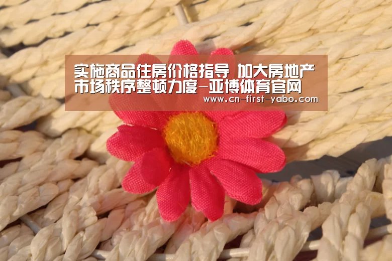 实施商品住房价格指导 加大房地产市场秩序整顿力度-亚博体育官网(图4) 亚博体育